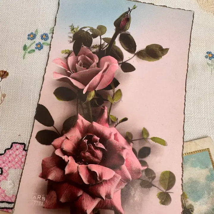 [BUNJANG] Vintage Postcards Calligraphy Set - 3 Pieces / 빈티지엽서 필기체 3장묶음