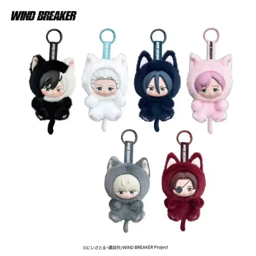 [BUNJANG] Wind Breaker Fuwa Neko Split Set (Umeya, Sugi, Kiryu) / 윈브레 후와네코 공구 (우메, 스기, 키류)