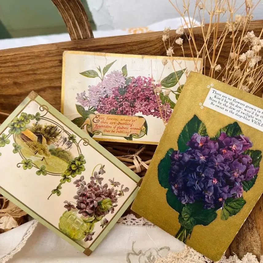 [BUNJANG] Vintage Postcards - Purple Floral Collection (3 Pieces) / 빈티지엽서 보라꽃모음3장&amp;필기체