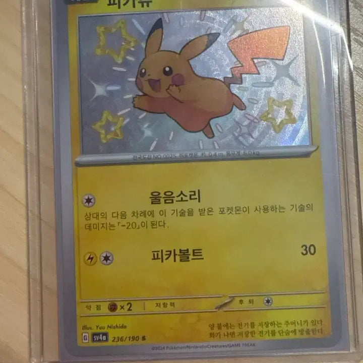 [BUNJANG] Pikachu Pokemon Card / 피카츄 포켓몬카드