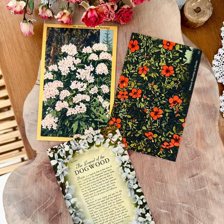 [BUNJANG] Vintage Postcard Set - Small Floral Pattern (Calligraphy) / 빈티지엽서 잔꽃모음(필기체) 3장묶음