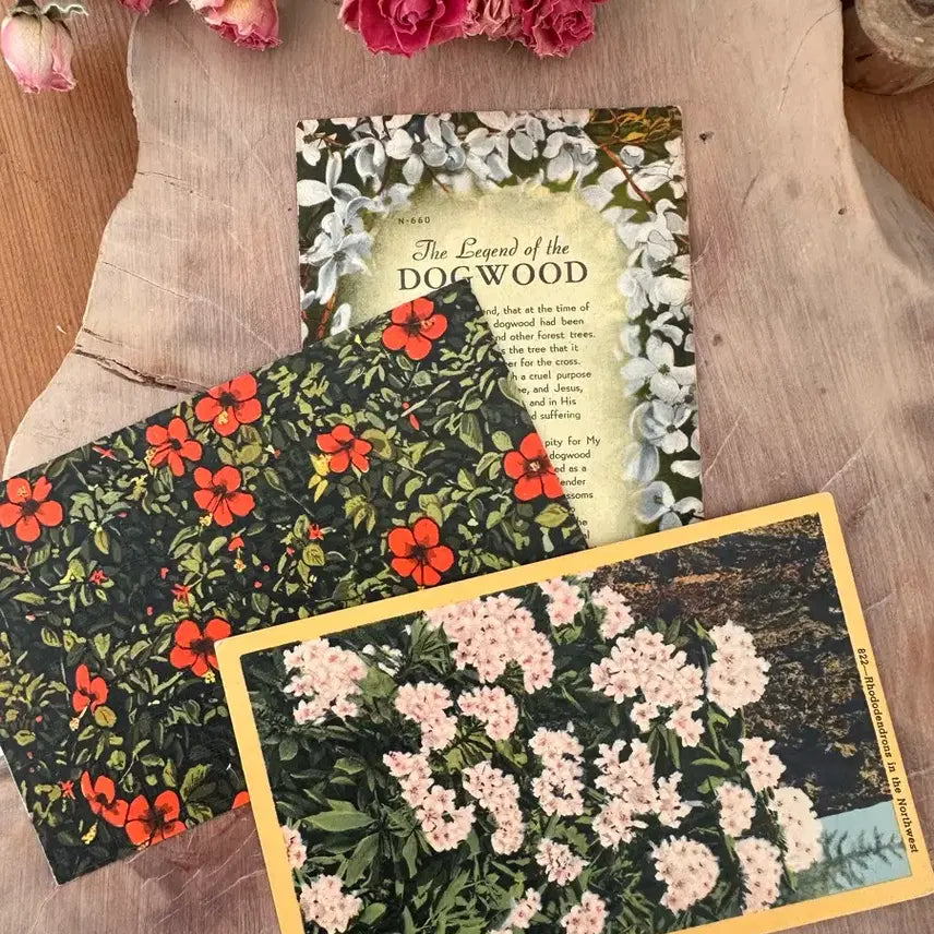 [BUNJANG] Vintage Postcard Set - Small Floral Pattern (Calligraphy) / 빈티지엽서 잔꽃모음(필기체) 3장묶음