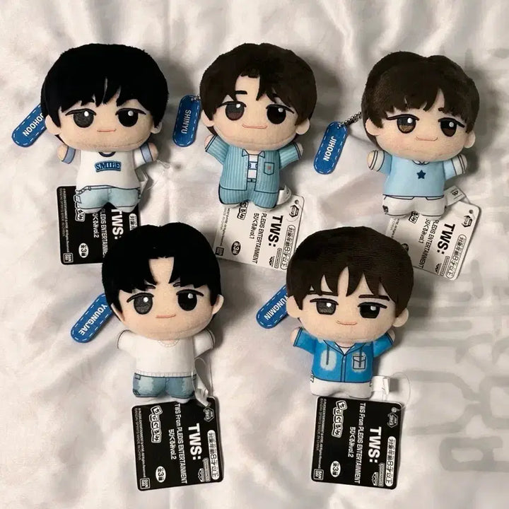 [BUNJANG] TWS x Bandai Collaboration Plush Dolls (Jihoon, Dohyun, Shinyu, Kyungmin, Jae) - Bundle or Individual / 반다이x투어스 콜라보 투어스인형누이 경민