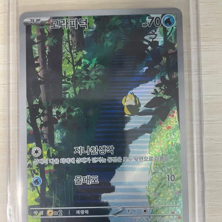 [SOLD OUT] [슬리브+하드케이스] 포켓몬카드 고라파덕 AR