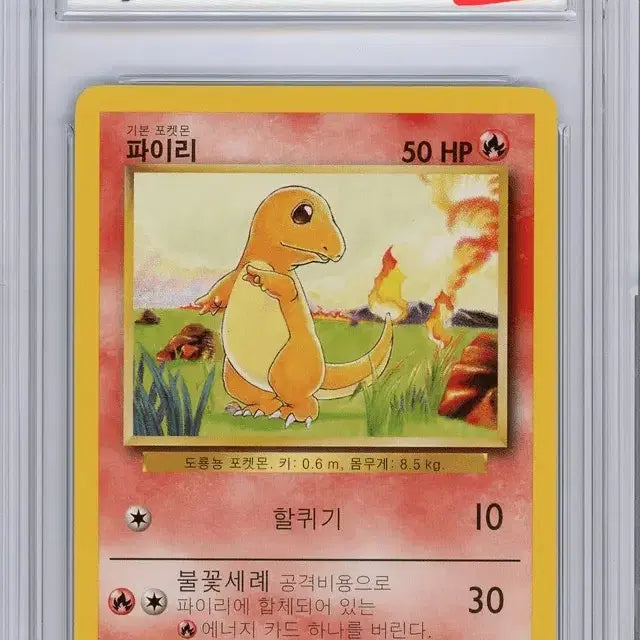 [BUNJANG] Pokemon TCG 2000 Base Set 