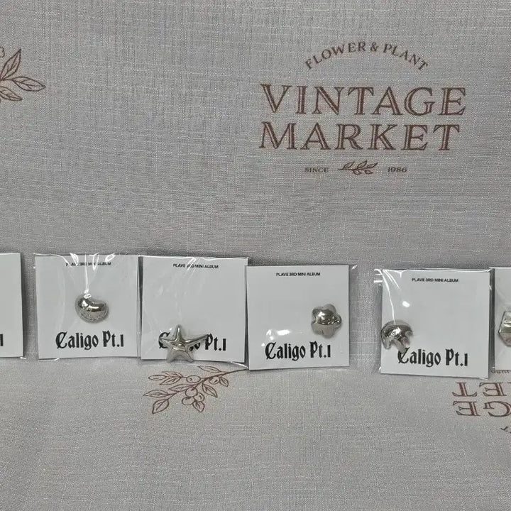[BUNJANG] PLeodash Album Charm Set / 플레이브 대쉬앨범 참 세트