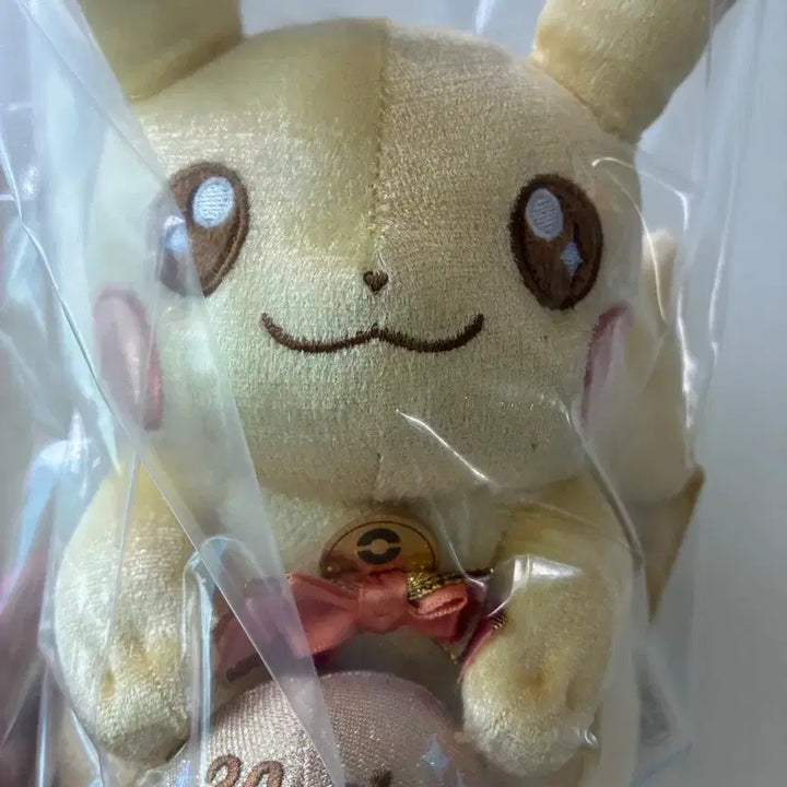 [BUNJANG] Pokemon Pikachu 30th Anniversary Keyring &amp; Doll Set / 포켓몬 피카츄 30주년 키링, 인형 세트