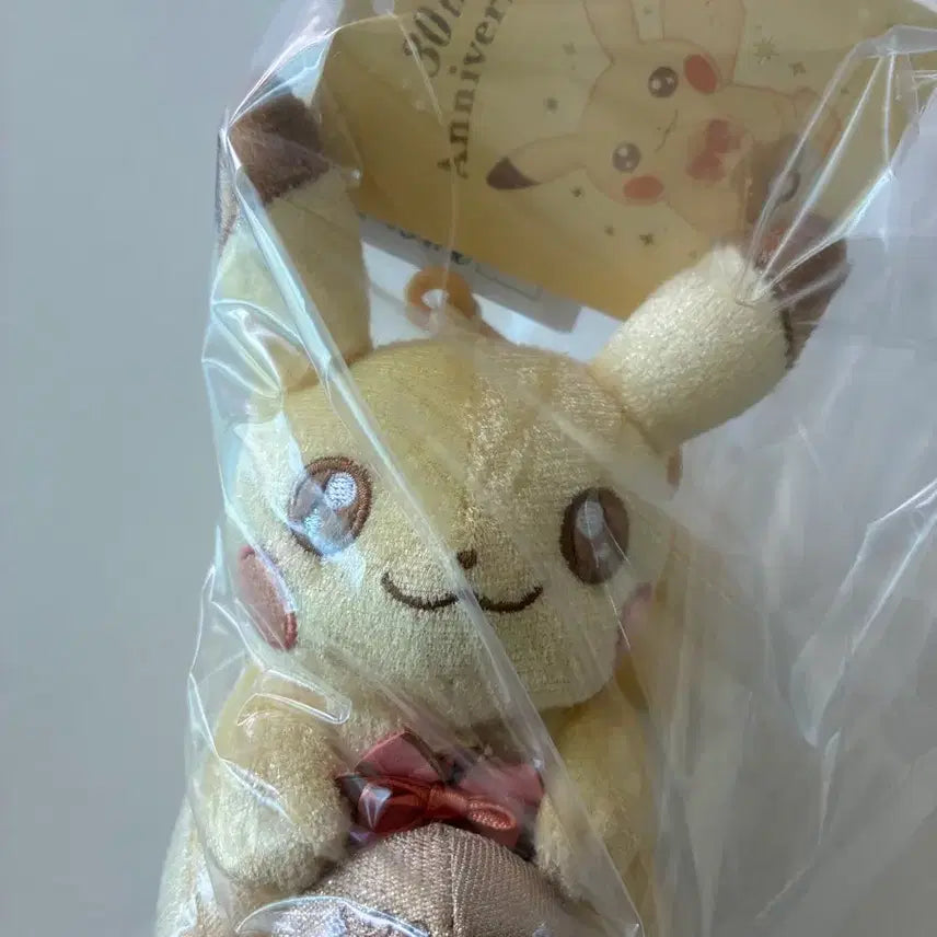 [BUNJANG] Pokemon Pikachu 30th Anniversary Keyring &amp; Doll Set / 포켓몬 피카츄 30주년 키링, 인형 세트