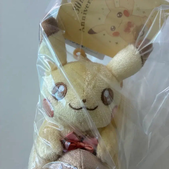 [BUNJANG] Pokemon Pikachu 30th Anniversary Keyring &amp; Doll Set / 포켓몬 피카츄 30주년 키링, 인형 세트
