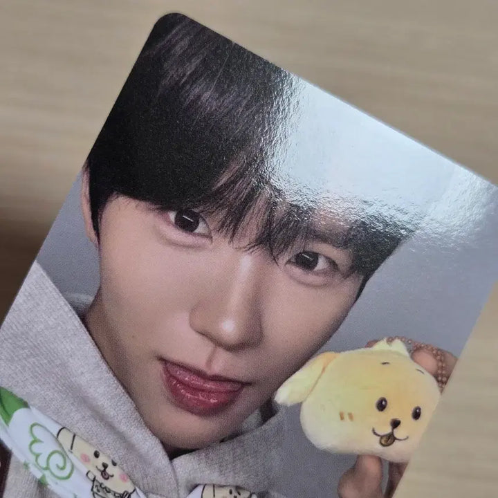 [BUNJANG] Wishdoll Dachshund 30cm Bread Doll Jaehee Bundle Set Photocard / 일괄 판매글 / 개별x ) 위시돌 댕트리버 30cm 빵 인형 재희 포카
