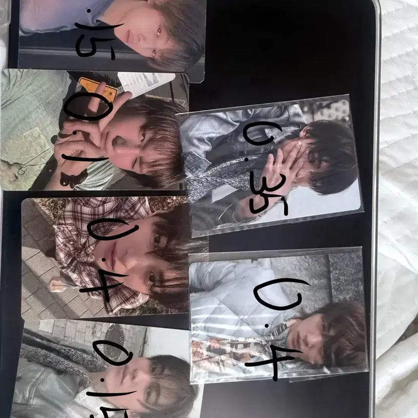 [BUNJANG] Cortis Photocard / 코르티스 포카