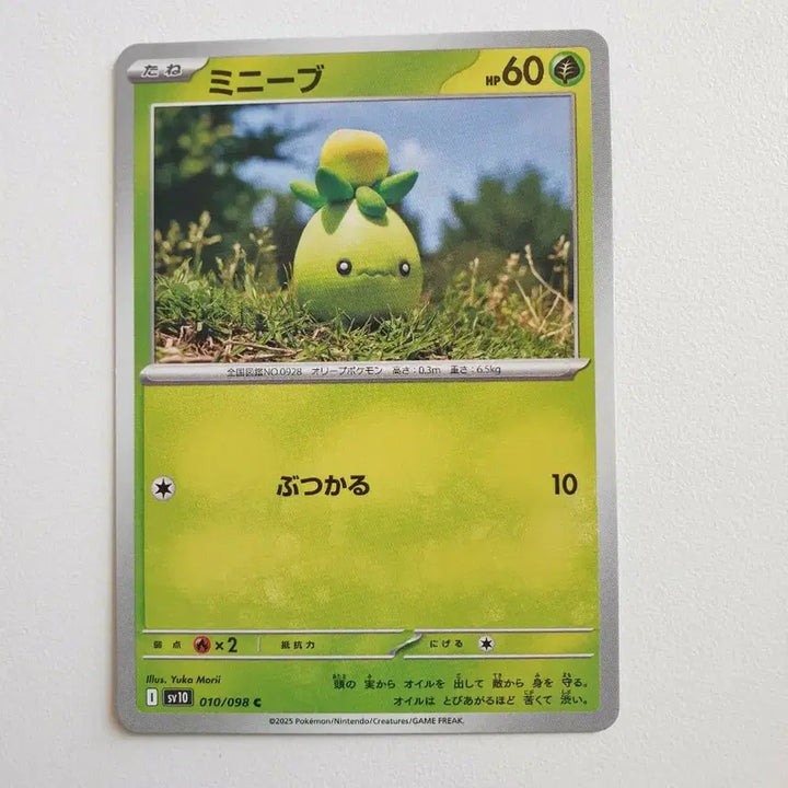 [BUNJANG] Japanese Mini Noibat Pokemon Card / 일판/미니브 포켓몬카드