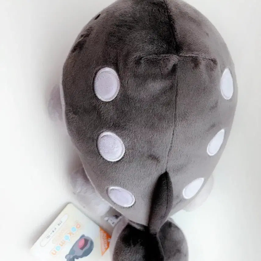 [BUNJANG] Pokemon Toh Doll / 포켓몬 토오 인형