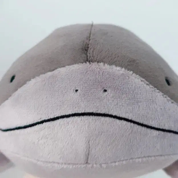 [BUNJANG] Pokemon Toh Doll / 포켓몬 토오 인형