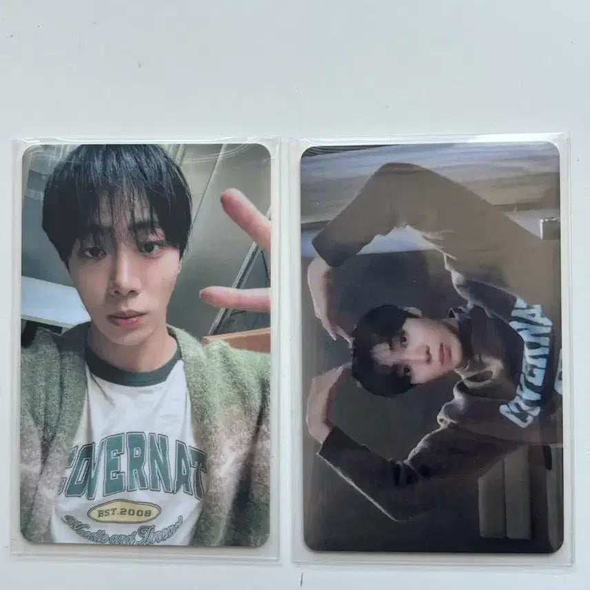 [BUNJANG] YOUNGWOO Covenant Photocard / 추영우 커버낫 포카 양도
