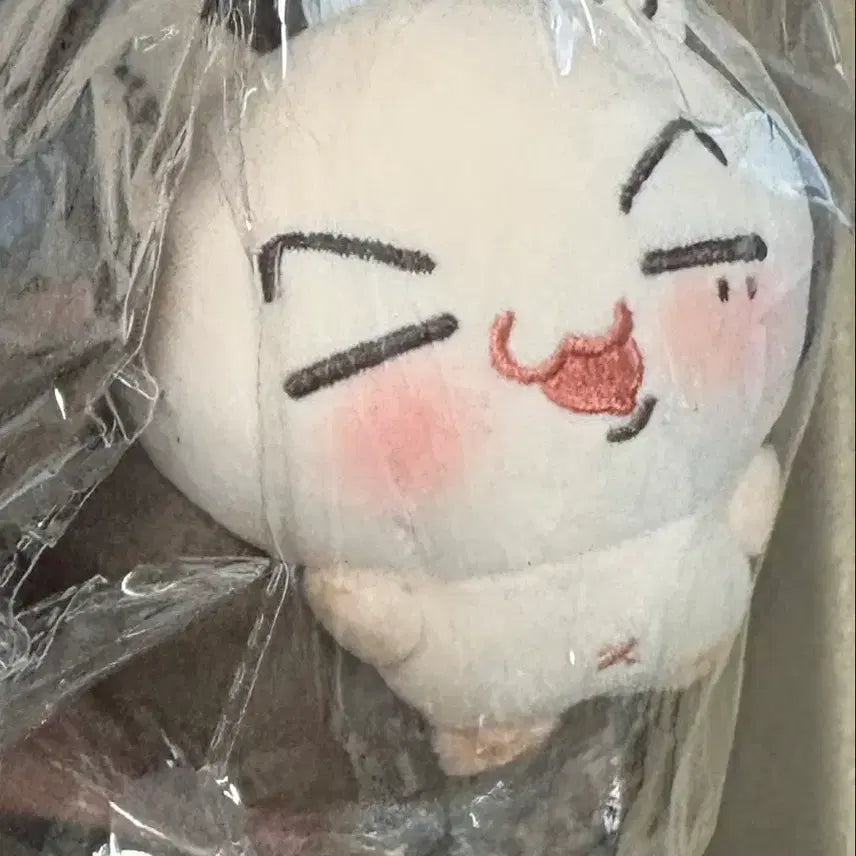 [BUNJANG] ENHYPEN Jay Mini Jjongmongchi Doll Unsealed / 개봉)엔하이픈 제이 인형 미니 쫑몽치 양도