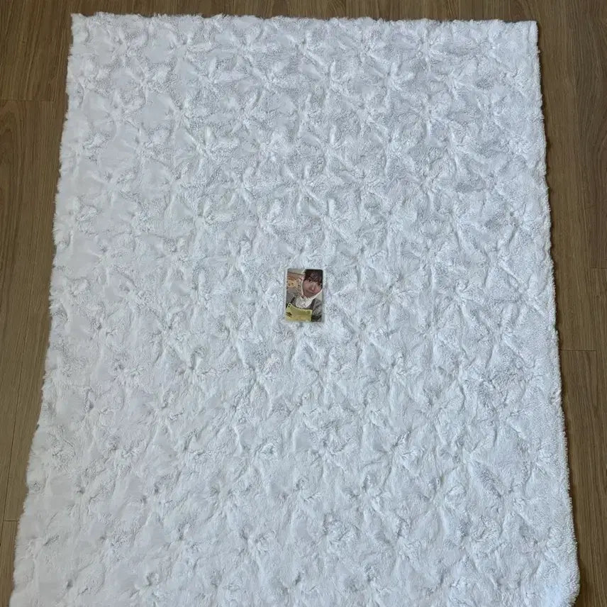 [BUNJANG] Belboa Card Holder / 벨보아 양도