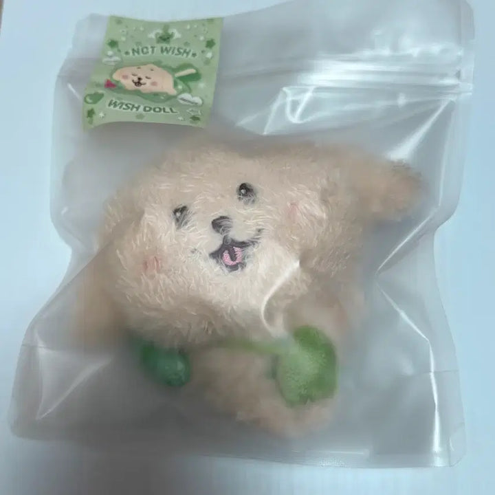 [BUNJANG] Original Wishdoll Dangtreever Jaehee NCT WISH / 미개봉 오리지널 위시돌 댕트리버 엔시티위시 재희