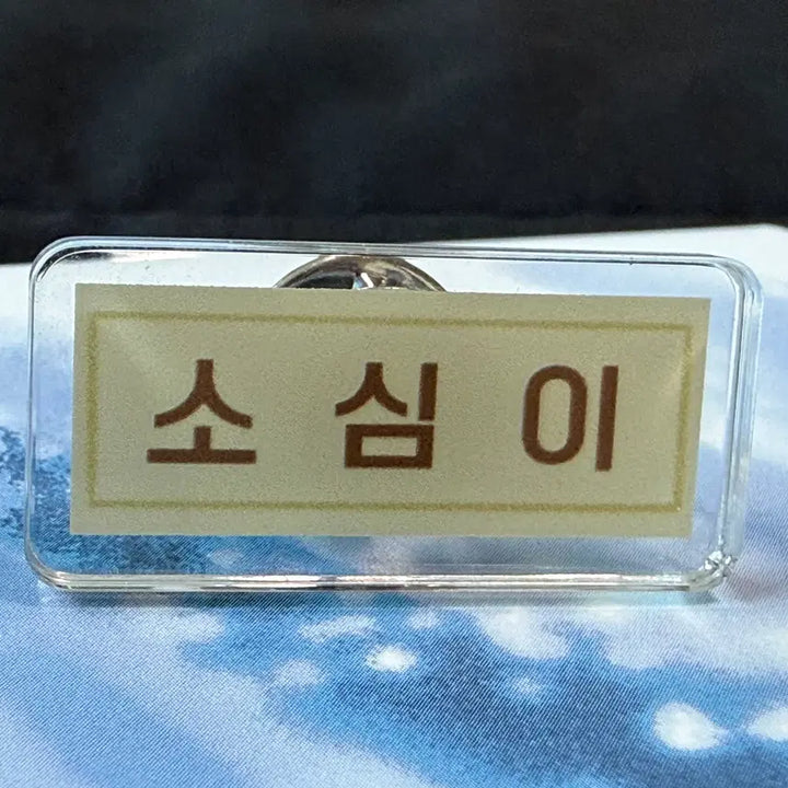 [BUNJANG] Park Jihoon (Weak Hero) Yeon Si Eun Mini Name Tag / 박지훈 소심이 약한영웅 연시은 미니 명찰