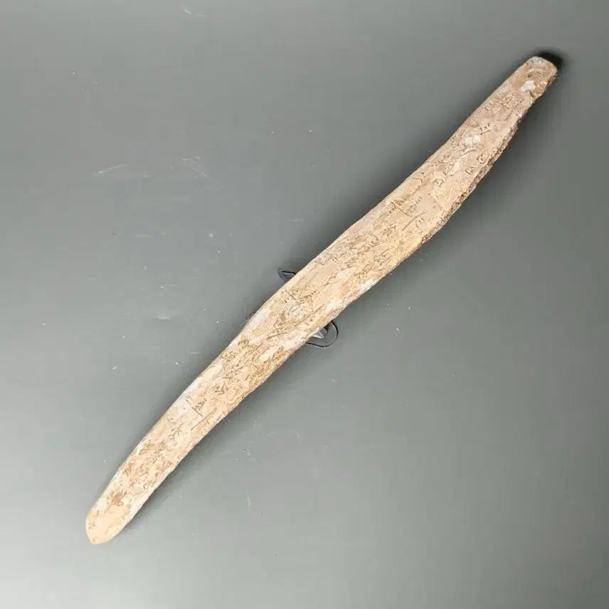 [BUNJANG] Shang Dynasty Oracle Bone Script Fragment (2) Excavated Artifact, Antique Collectible / 고대 상나라 은허 갑골문 점복각골편 (2) 출토품 골동품 수집품