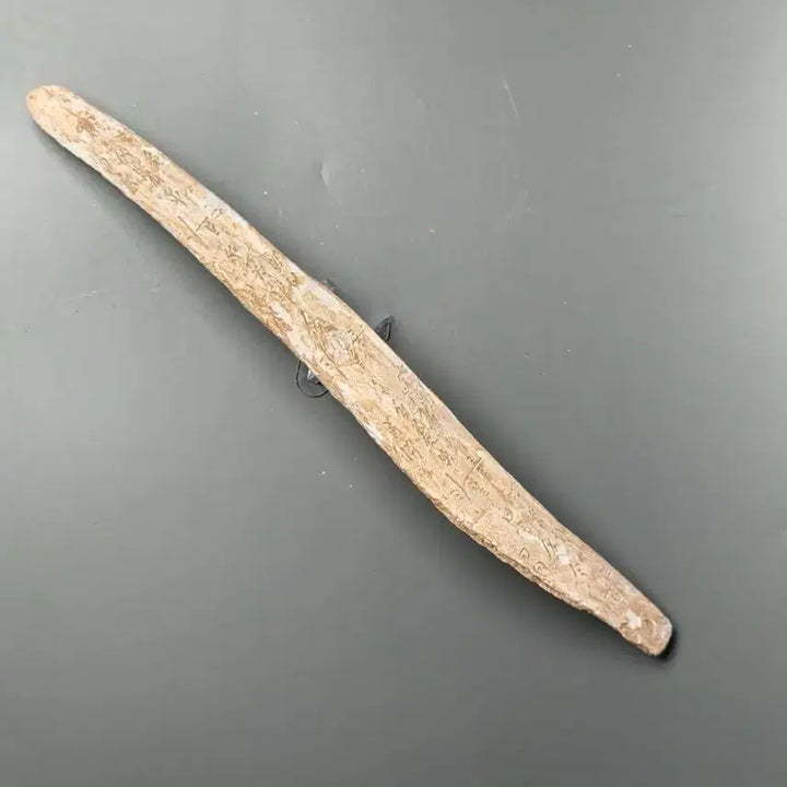 [BUNJANG] Shang Dynasty Oracle Bone Script Fragment (2) Excavated Artifact, Antique Collectible / 고대 상나라 은허 갑골문 점복각골편 (2) 출토품 골동품 수집품