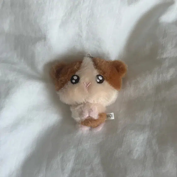 [BUNJANG] ENHYPEN Harua Lungini 7cm Plush / 앤팀 하루아 룽기니 7cm 양도