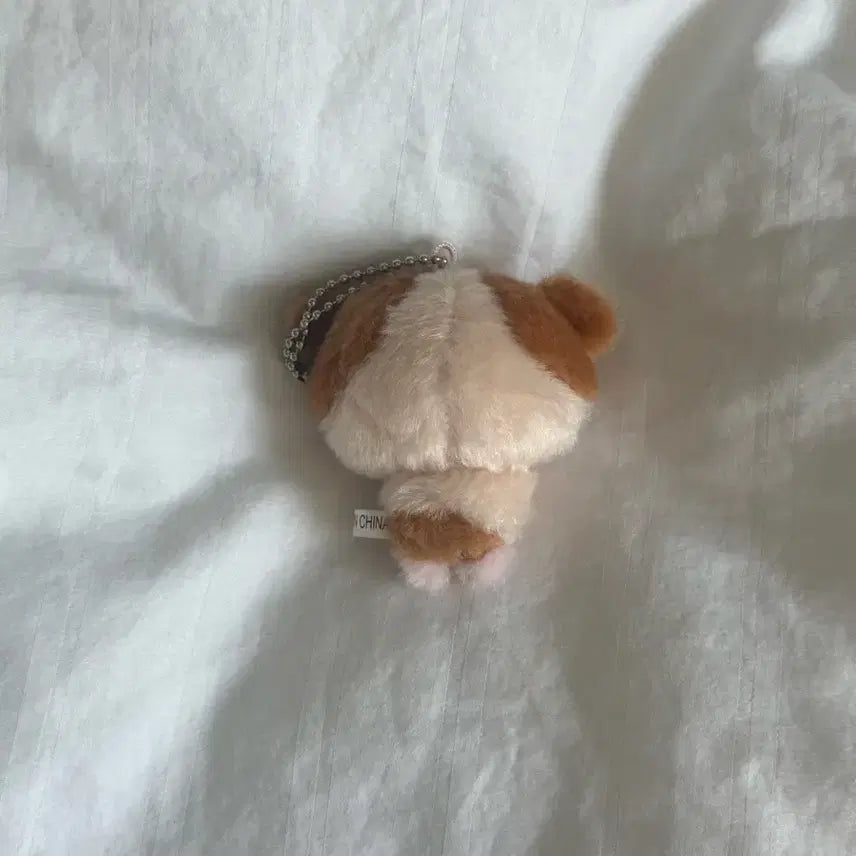 [BUNJANG] ENHYPEN Harua Lungini 7cm Plush / 앤팀 하루아 룽기니 7cm 양도