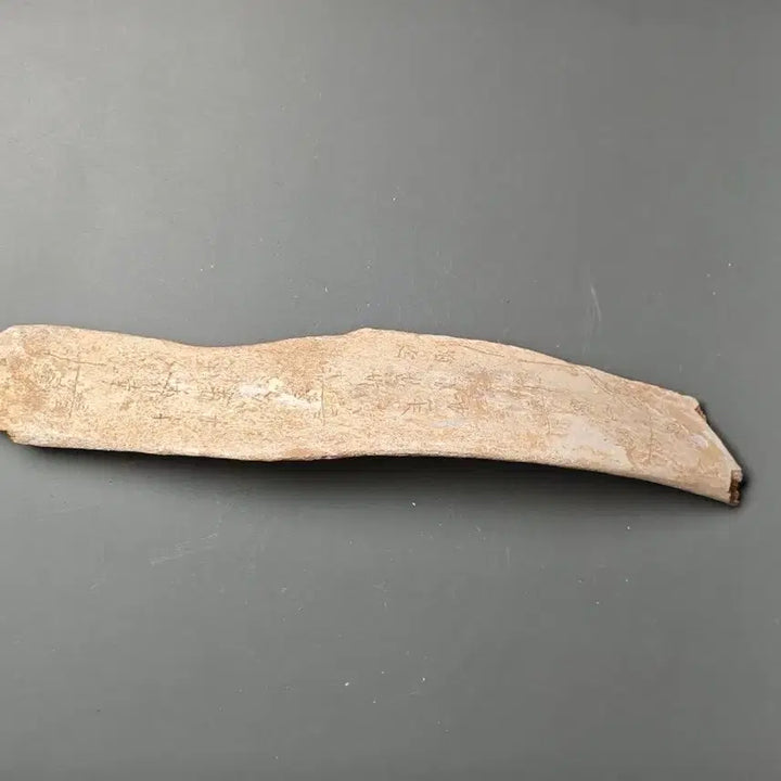 [BUNJANG] Shang Dynasty Oracle Bone Script Fragment (3) Excavated Artifact / 고대 상나라 은허 갑골문 점복각골편 (3) 출토품 골동품 수집품