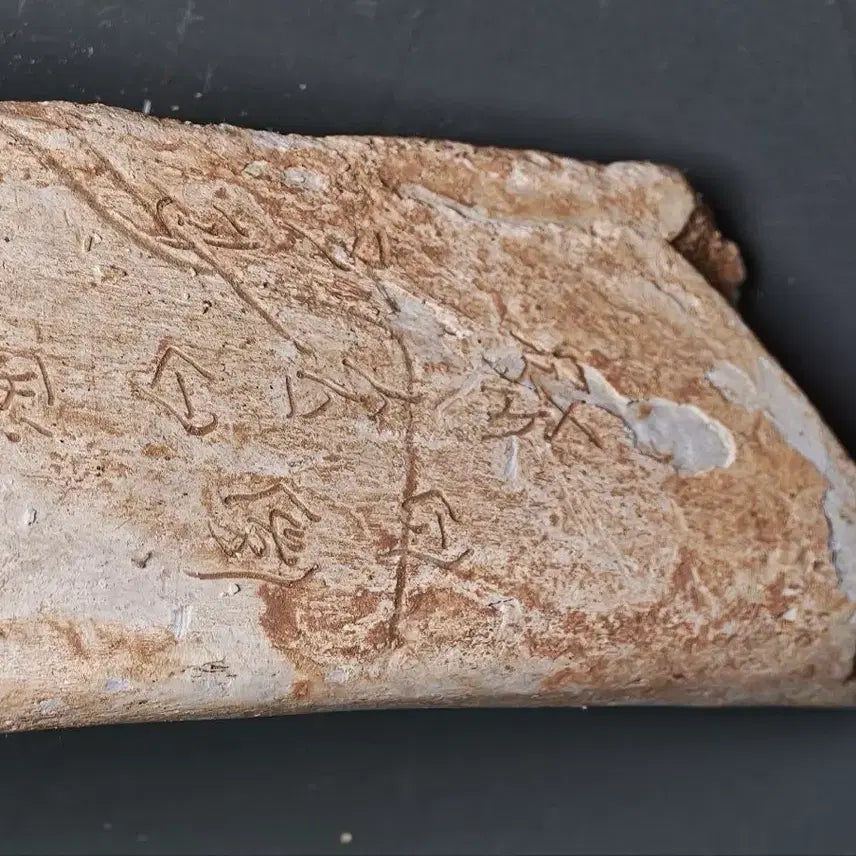 [BUNJANG] Shang Dynasty Oracle Bone Script Fragment (3) Excavated Artifact / 고대 상나라 은허 갑골문 점복각골편 (3) 출토품 골동품 수집품