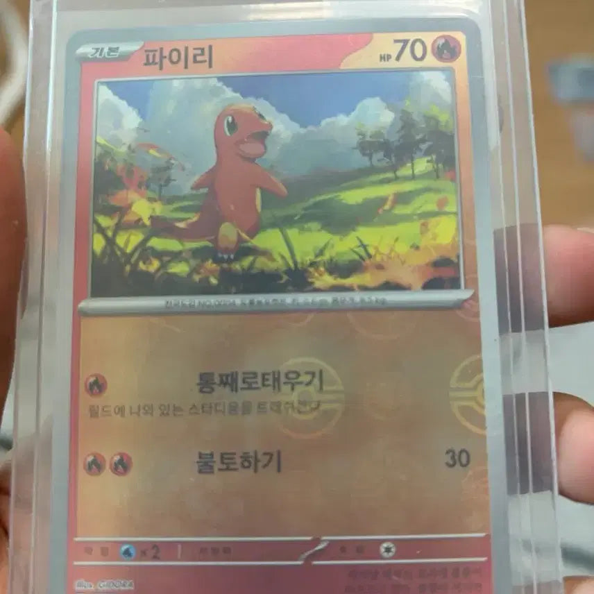 [BUNJANG] Charmander Pokemon Ball Holo Card / 파이리 포켓몬볼 카드