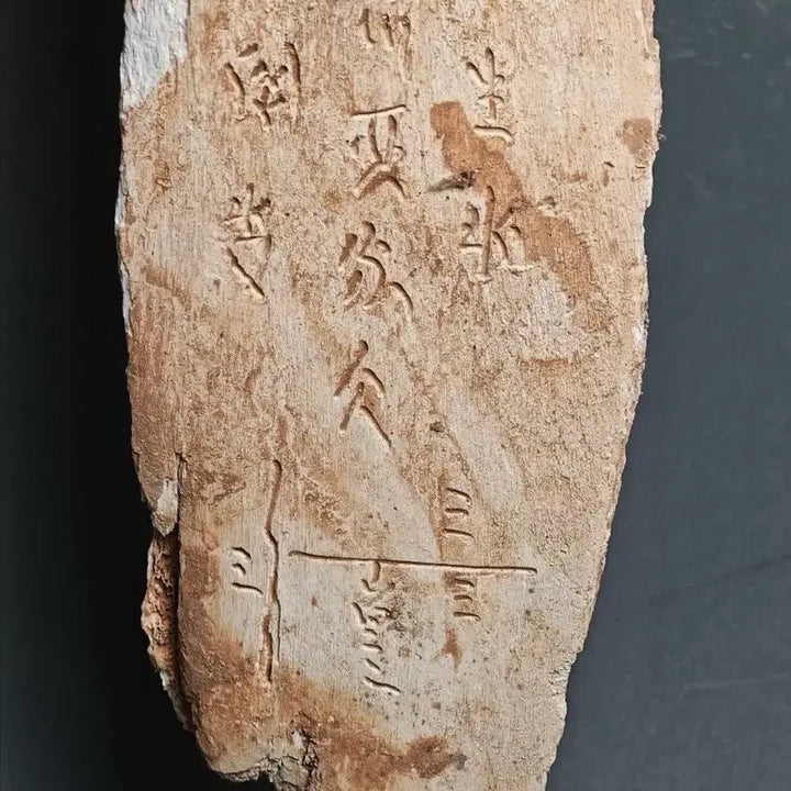 [BUNJANG] Shang Dynasty Oracle Bone Script Fragment (6) Excavated Artifact / 고대 상나라 은허 갑골문 점복각골편 (6) 출토품 골동품 수집품