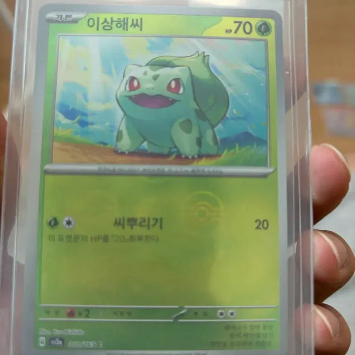 [BUNJANG] Pokemon Venusaur Poké Ball Holo Card / 포켓몬 카드 이상해씨 포켓몬볼 홀로카드