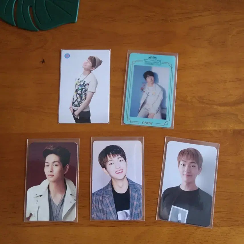 [BUNJANG] SHINee Onew Photocard Collection / 샤이니 온유 포카 모음