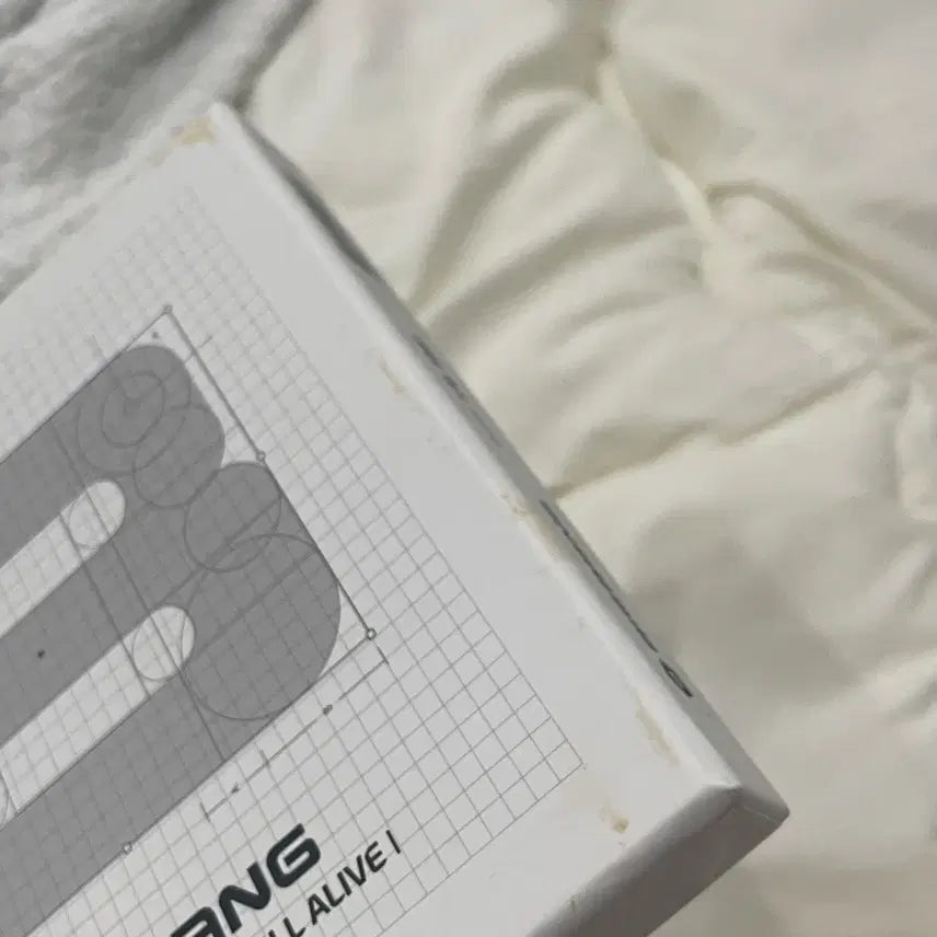 [BUNJANG] BIGBANG Special Edition Album / 빅뱅 still alive 스페셜 에디션 빅뱅버전