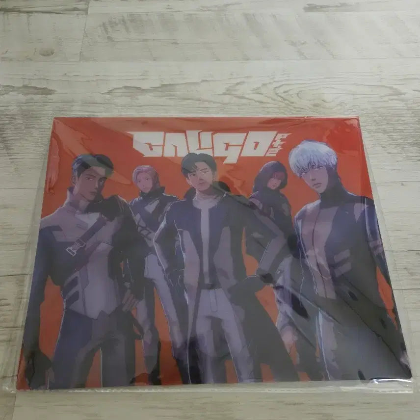 [BUNJANG] Playground Bonsebagi Binder / 플레이브 본새비지 바인더