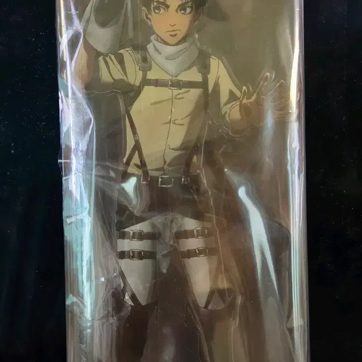 [BUNJANG] Attack on Titan Eren Yeager Large Acrylic Standee / 진격의거인 에렌 청소 빅 아크릴 진격거