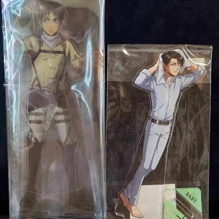 [BUNJANG] Attack on Titan Eren Yeager Large Acrylic Standee / 진격의거인 에렌 청소 빅 아크릴 진격거