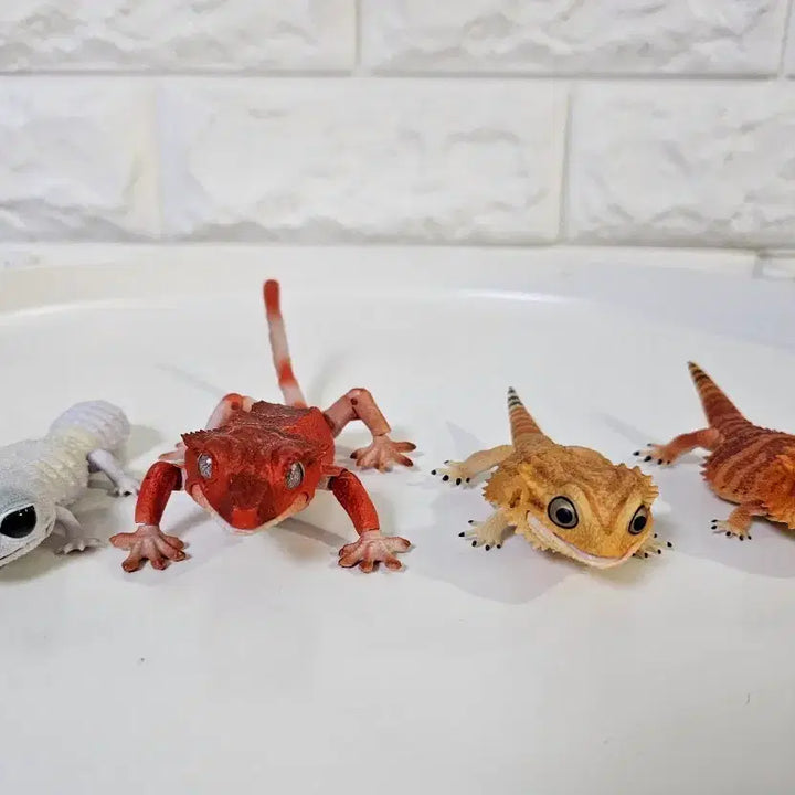 [BUNJANG] Bandai Creatures of the World Lizards Set of 4 / 반다이 생물대도감 도마뱀 4종 판매합니다