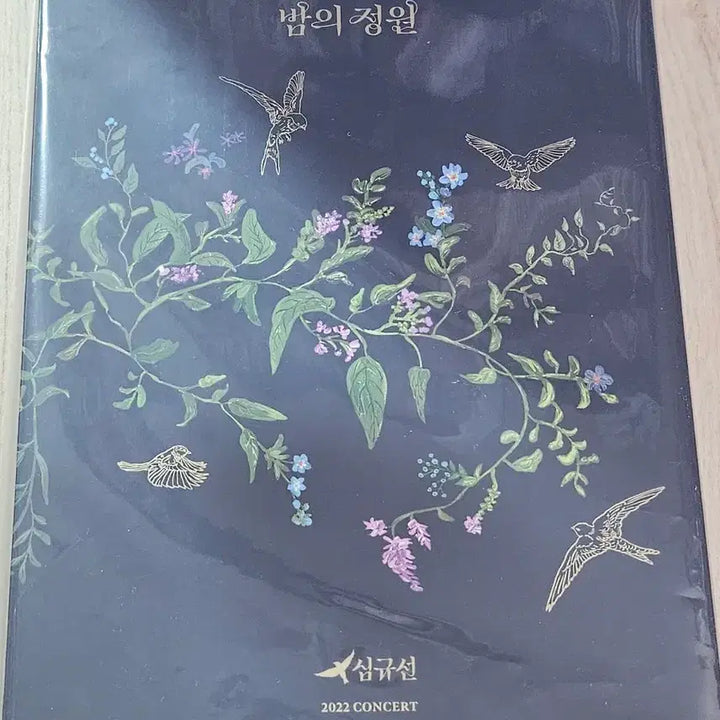 [BUNJANG] Lucia (Shim Gyu Sun) 2022 Concert &