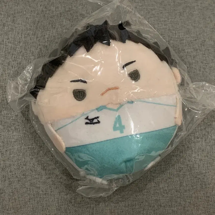 [BUNJANG] Haikyuu!! Hajime Iwazumi Fuwakororing Vol. 4 / 하이큐 이와이즈미 후와코로링