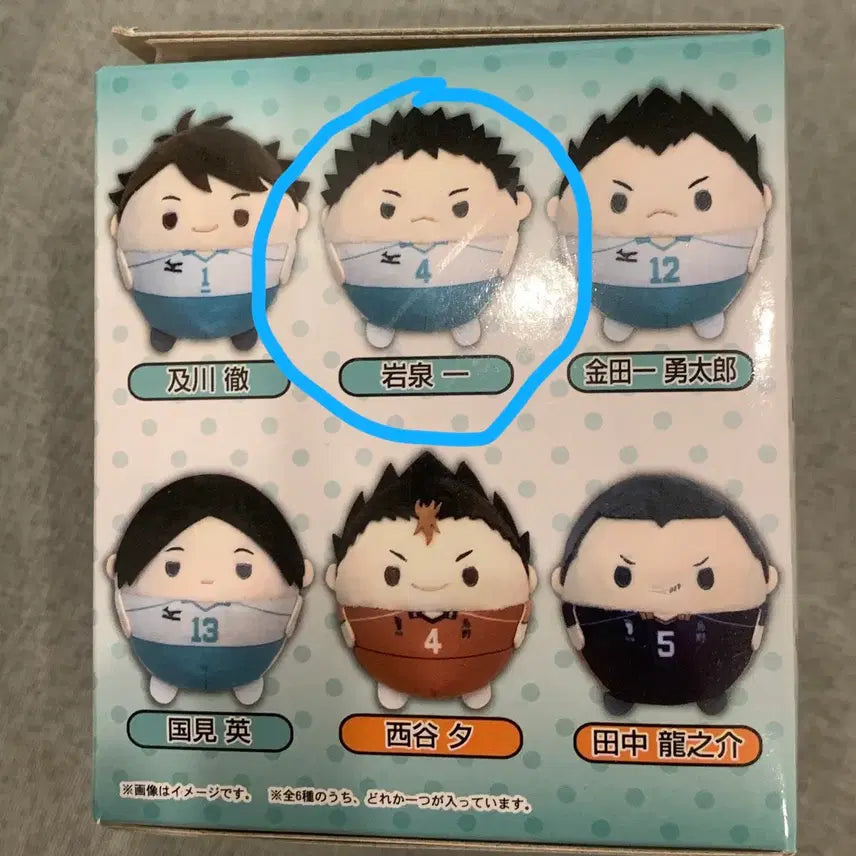 [BUNJANG] Haikyuu!! Hajime Iwazumi Fuwakororing Vol. 4 / 하이큐 이와이즈미 후와코로링