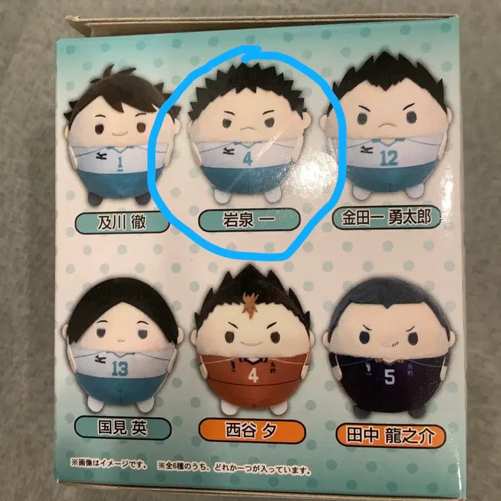 [BUNJANG] Haikyuu!! Hajime Iwazumi Fuwakororing Vol. 4 / 하이큐 이와이즈미 후와코로링