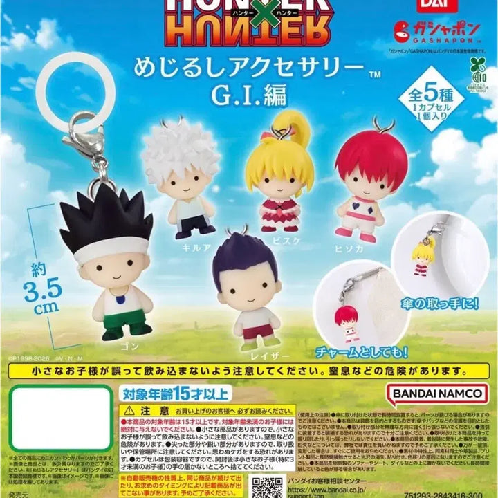 [BUNJANG] Hunter x Hunter Mejurushi Grid Island Laser / 헌터헌터 메지루시 그리드아일랜드 (레이저)