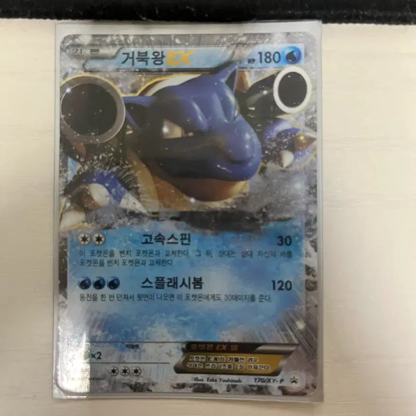 [BUNJANG] Torterra EX Promo Rare Card / 거북왕 EX 프로모 희귀카드