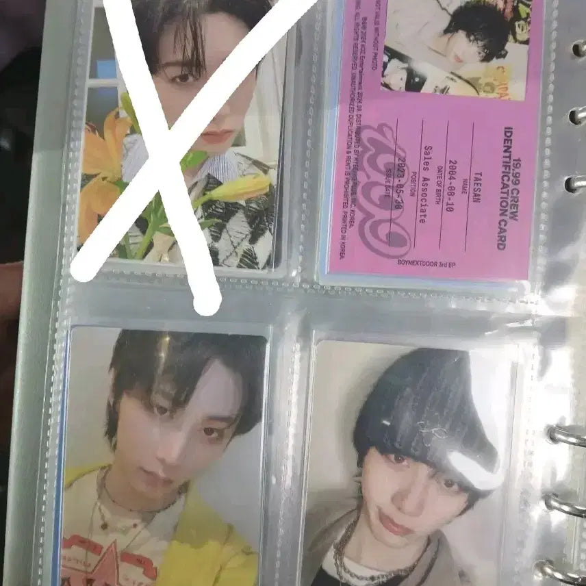 [BUNJANG] BOYNEXTDOOR Taesan Photocard / 보이넥스트도어 보넥도 태산 포카 판매