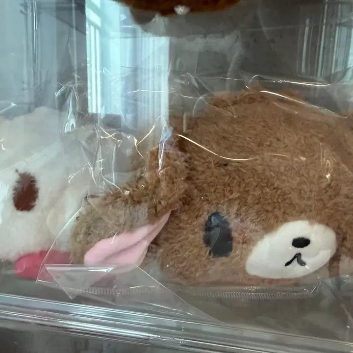 [BUNJANG] Sugarbunnies Lil&