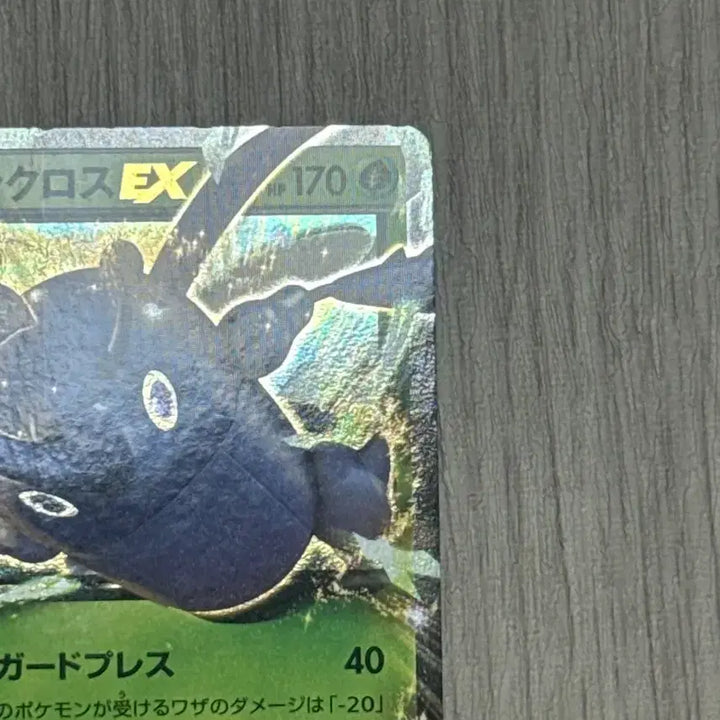 [BUNJANG] Pokemon Card Heracross EX 004/096 Japanese / 포켓몬카드 헤라크로스 EX 004/096 일판