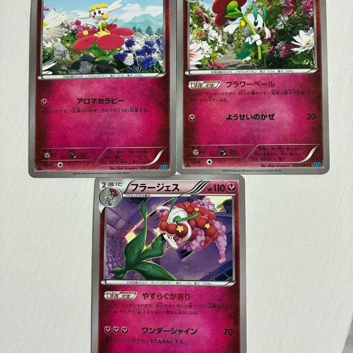 [BUNJANG] Pokemon Card Japanese XY Flabebe Evolution Set / 포켓몬카드 일판 XY플라베베 진화세트