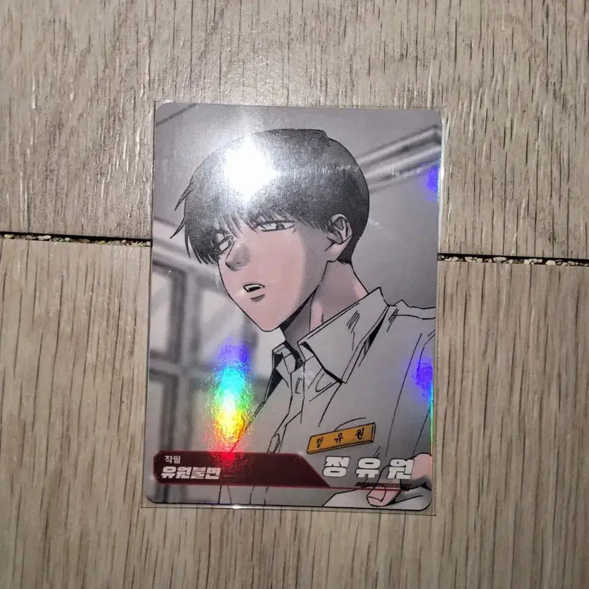 [BUNJANG] Yoo Won (Yuwon) Resin AR Trading Card / 유원불변 정유원 레진수 AR트레이딩 카드