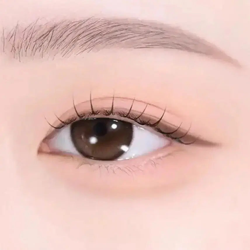 [BUNJANG] Holika Holika My Fave Mood Eye Palette Yuzu Citrus Tea / 새 상품) 홀리카홀리카 마이페이브 무드 아이 팔레트 유자 시트러스 티